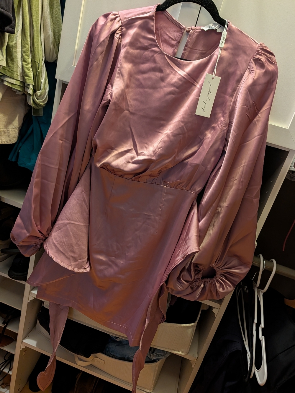Petal & Pup Satin Puff-Sleeve Mini Dress